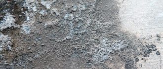 плесень разрушает бетон